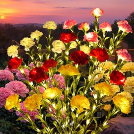 GIGALUMI 4 Pack Solar 28 Carnations Flowers Outdoor, 2 Modes, Multicolored