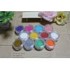 Jewel Glitter Powder 12 Colors, Plenty of 0.08 oz (2