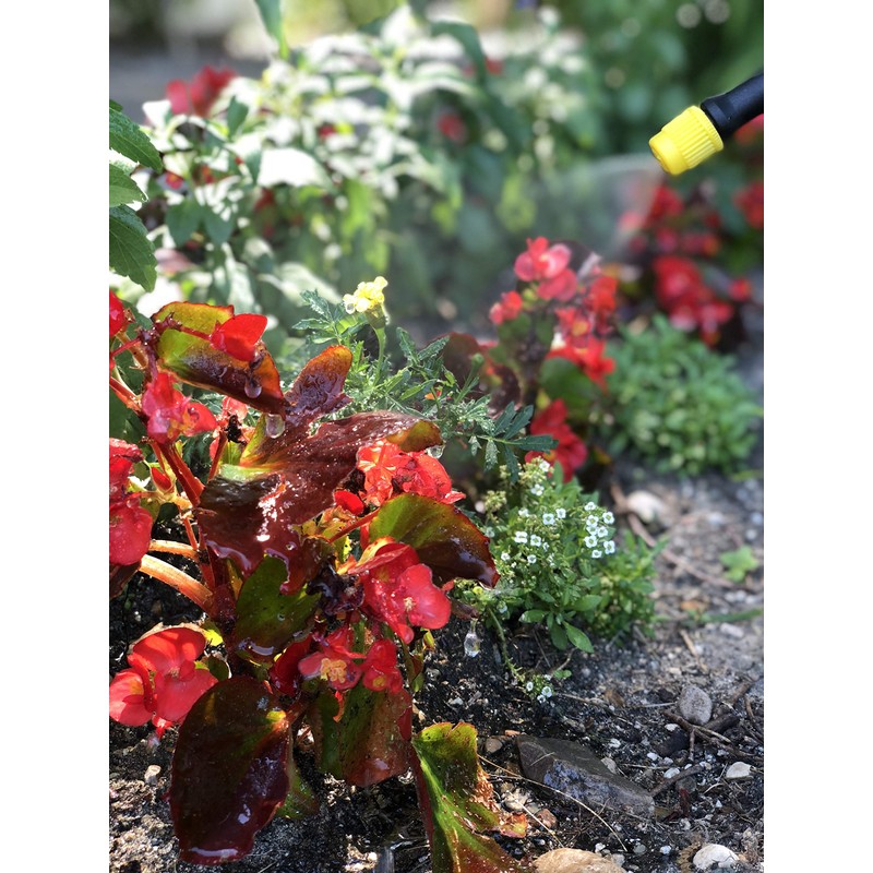 Pumpless Battery Powered Sprayer, Translucent