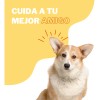 Pomada Soleq Repelente De Insectos - Orejas - Perro Y