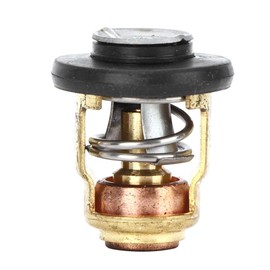 Aramox Boat Engine Thermostat Replacement for 3P-225P Horsepower Outboard OEM: 6E5-12411-30