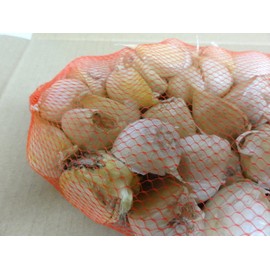 Garlic, 17.6 oz (500 g), Rose Garlic from Aomori Prefecture