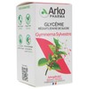 Arkopharma Arkocaps Gymnema Sylvestris 45 Capsules