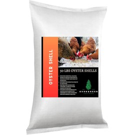 Evergreen Farm and Garden 12.5 lb Jug Oyster Shell - Calcium Rich Bird Grit (50 Pound (Pack of 1))