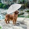 ZEFOXETO Pet Dog Transparent Umbrella, Clear Folding Adjustable Leash, Keeps