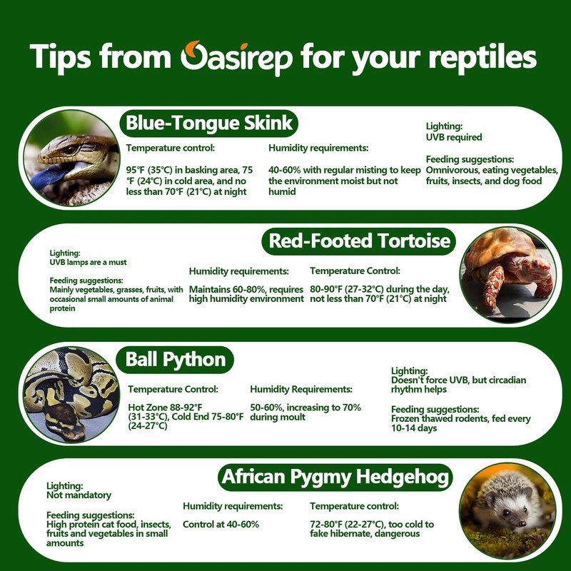 Oasirep Black Reptile Thermometer and Hygrometer – LCD Digital Temp