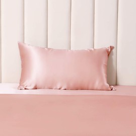 THXSilk 25 Momme Silk Pillowcase for Hair and Skin, Mulberry Silk Pillowcase, Hypoallergenic with Hidden Zip, Pure Silk on Both Sides