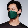 Kind. 3D Willow Face Mask – 4-Layer Disposable Face Masks,