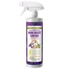 EcoVenger by EcoRaider All Purpose Insect Control 16 oz, Fleas,