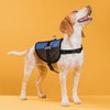 Dogline Ask to Pet Vest Patches – Removable Patch 2-Pack