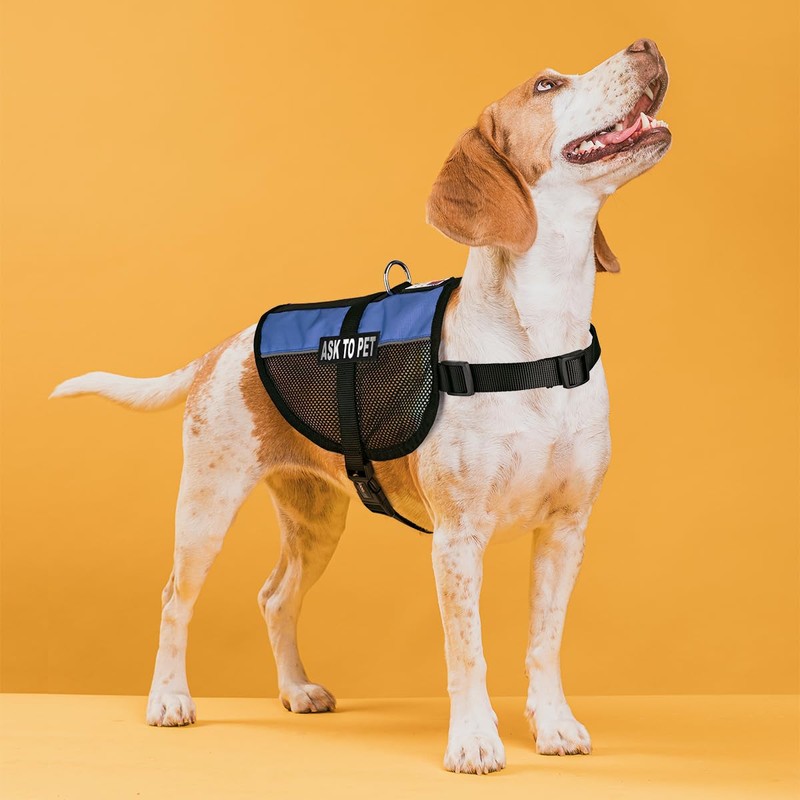 Dogline Ask to Pet Vest Patches – Removable Patch 2-Pack