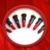 Portable1 2 En 1 Lápiz Labial Mate Brillo De Labios