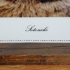 Pheasant Cat Clear File Photo A5 Size, Made in Japan,