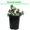 Viagrow 4 Cu. Ft. Perlite , Green for house propagation