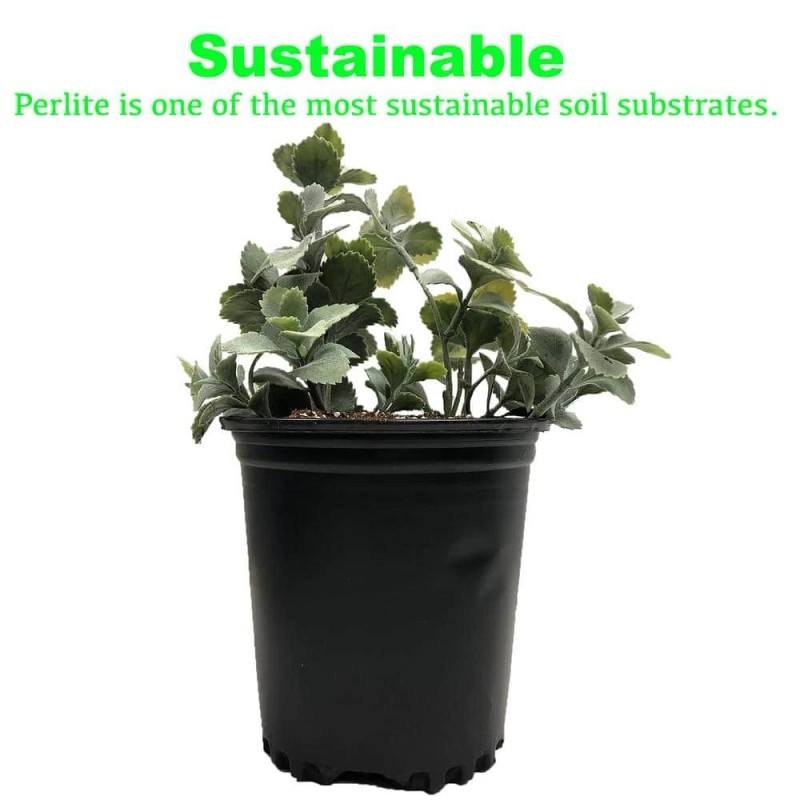 Viagrow 4 Cu. Ft. Perlite , Green for house propagation