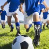 Sportout Soccer Shin Guards - Shin Guards Soccer Kids Youth