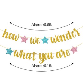 WeBenison How We Wonder What You Are Banner/Baby Shower Boy or Girl Banner/Gender Reveal/Star Twinkle Twinkle Little Star Party Decorations Supplies Banner/Gold Glitter