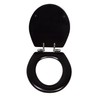 Design House 561241-BLK Dalton Soft Close Rustic Round Toilet Seat,