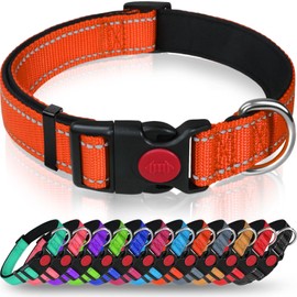 Taglory Reflective Dog Collar with Safety Locking Buckle, Adjustable Nylon Pet Collars for Puppy Dogs Female Male, XS, Orange