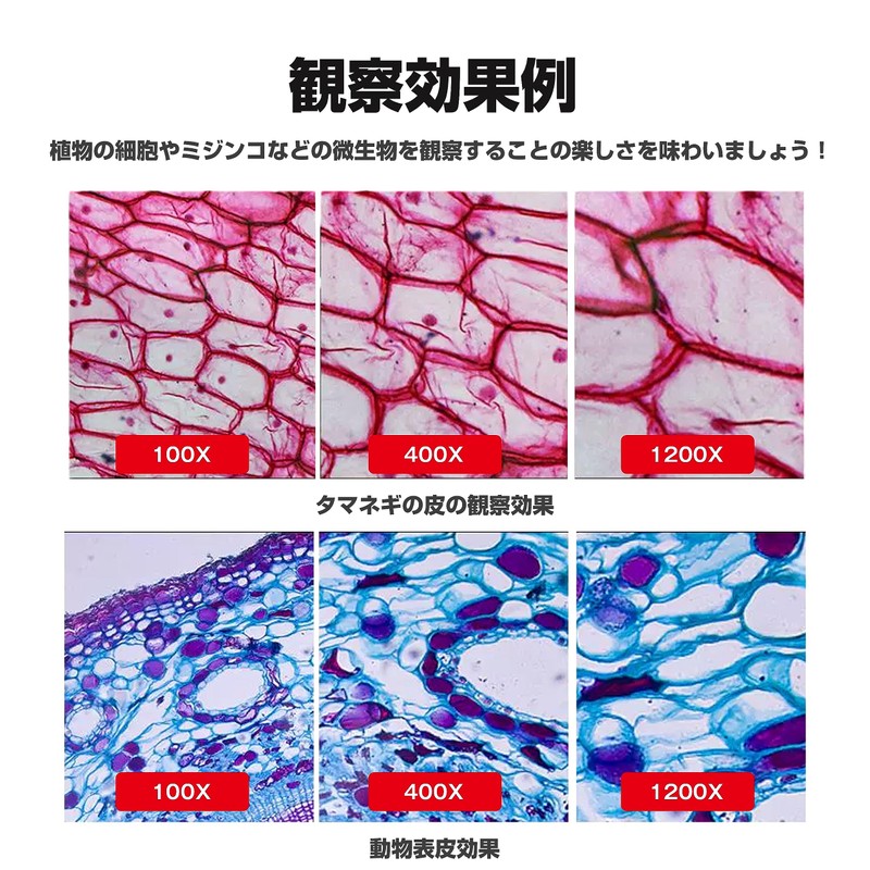 Microscope, Beginner Microscope, 100-1200x, Smartphone, Photography, Students, Children, Beginners, Learning,