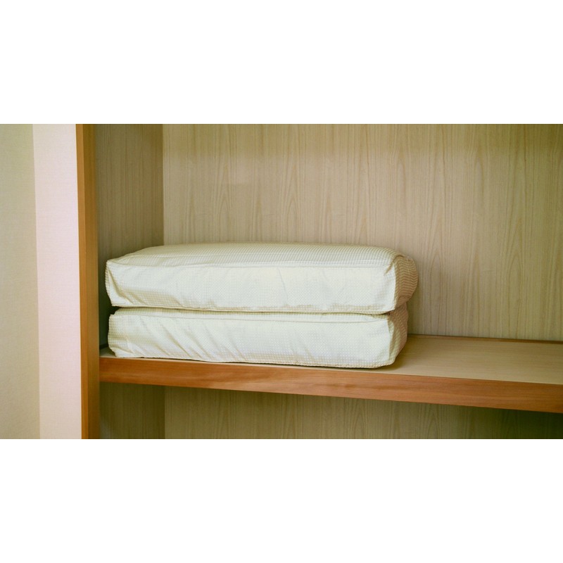 Orient Duvet De Cushion (Insole Duvet) For Cream 3413