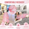 SlowTon Dog Surgery Recovery Suit, Professional Pet Recovery Shirt, Cone