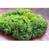 SeedsUP - 300+ Seeds Kale Bush Dinosaur Giant Cabbage -