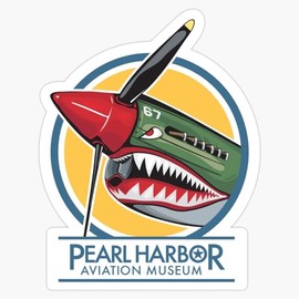 P-40 Nose Art Window Bumper Sticker Decal 5"