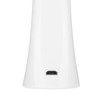 USB Micro current Ultrasonic Ion Importing Facial Pores Cleansing Instrument