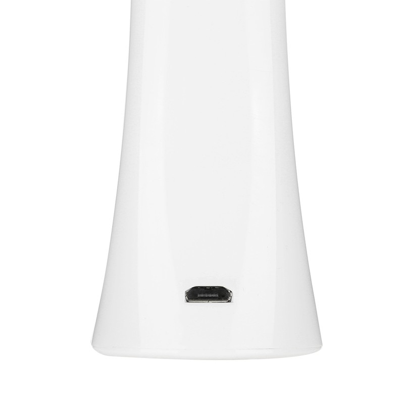 USB Micro current Ultrasonic Ion Importing Facial Pores Cleansing Instrument