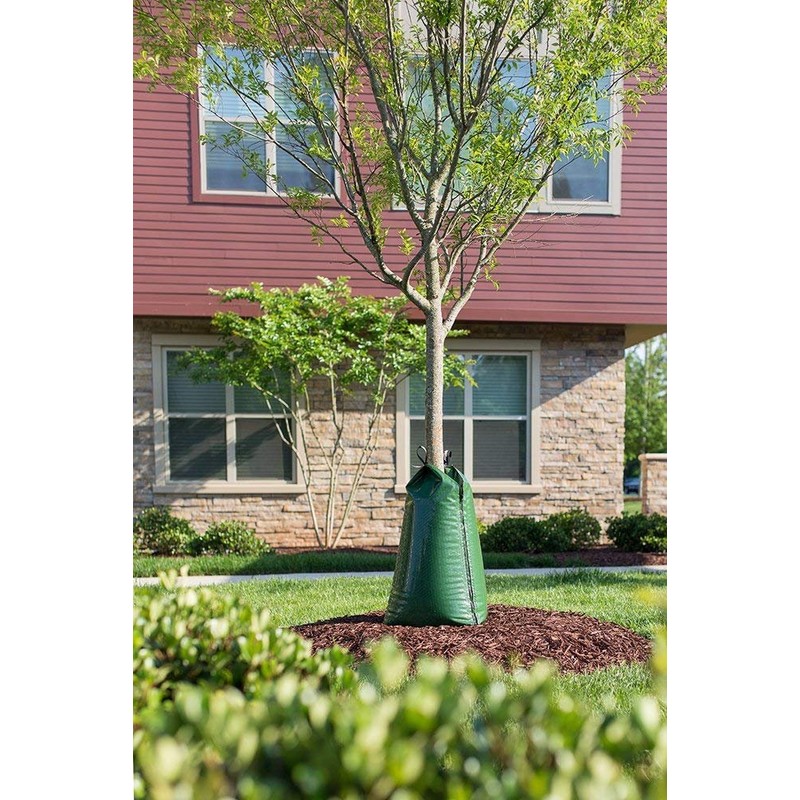 2 Pack - Treegator Original Slow Release Watering Bag for