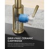FORIOUS Gold Kitchen Faucet with Pull Down Sprayer, Stainless Steel