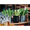 Olympia CP497 Galvanised Steel Chip Cup