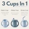 PandaEar Silicone Training Cup, 2 Pack Baby Drinking Sippy Cups