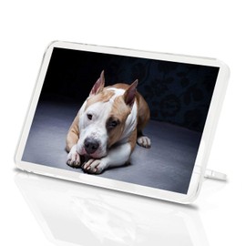 American Pit Bull Terrier Classic Fridge Magnet - Staffie Dog Puppy Gift #15599