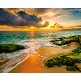 TISHIRON Paint by Numbers for Adults, Beach DIY Painting by Numbers, Sunset at Seascape Paint by Numbers Kit on Canvas, Frameless Adults Paint by Numbers, 16X20 Inch Arts Craft for Adults