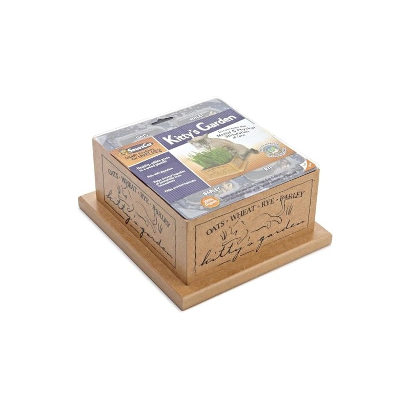Smartcat 3844 Kitty’S Garden Edible Grass Planter 6.8 x 6.2
