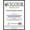 Phosphatidylcholine - 120 High Strength 1500mg Capsules