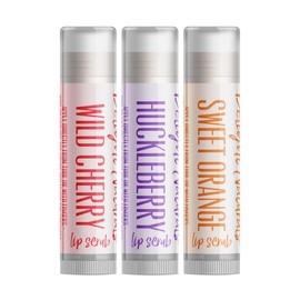Delight Naturals Fruity Kisses Sugar Lip Scrub Set - Wild Cherry, Huckleberry, Sweet Orange