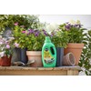 Miracle-Gro Miracle-Gro Pour & Feed Plant Food (Liquid), 32 fl.