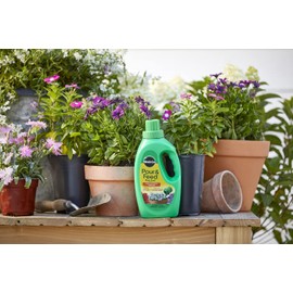 Miracle-Gro Miracle-Gro Pour & Feed Plant Food (Liquid), 32 fl. oz. (6 Pack)