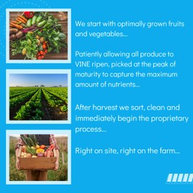 Consult Health Nature's Treasure Mega Vegetables+ Dietary Supplement - 60 Vegetable Capsules - Daily Green Superfood – Vegan - 100% Plant Based Nutrition