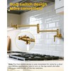 Pot Filler Faucet Brushed Gold: Solid Brass Wall Mount Heavy