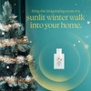 Glade PlugIns Refills Air Freshener, Bergamot & Eucalyptus, Scented and
