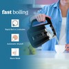 NELO Electric Kettle with 5 Temperature Control Presets, Large Digital