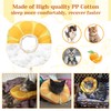 Jevnd Jevnd Kitten Cones After Surgery 0-6 Months, Donut Extra