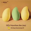 ARIANA THE MANGO BEAUTY SPONGE KIT - GREEN MANGO SPONGE
