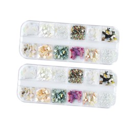 Baluue 2sets Natural Shell Flake Nail Art Decor Manicure Accessories for Elegant Nail Design Creative and Chic Fashion for Women