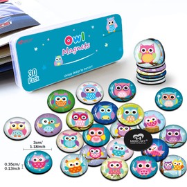 Pack of 30 Owl Fridge Magnets for Fridge Cute Funny Magnets Kitchen School Cupboards Classroom Whiteboard Office Cabin Magnetic Board Decorative Magnets Gifts for Adults Children