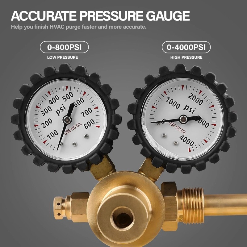 Unbranded Professional Nitrogen Regulator w/ Hose 0-800 PSI Output Pressure